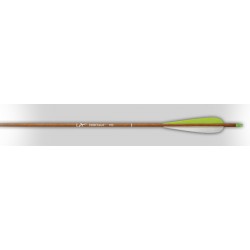 Carbon Express Heritage Shaft