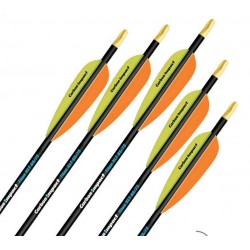 Ready to Shoot Arrows