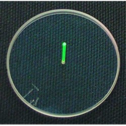 Specialty Archery Glow Lens