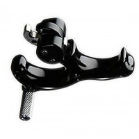 Carter Big Horn